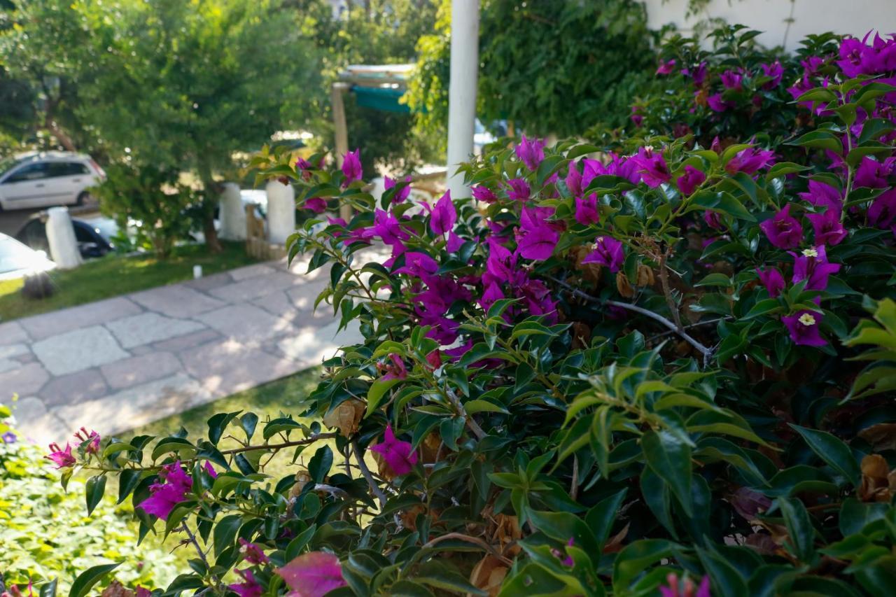 Africa Posada Hotel Pinamar Luaran gambar